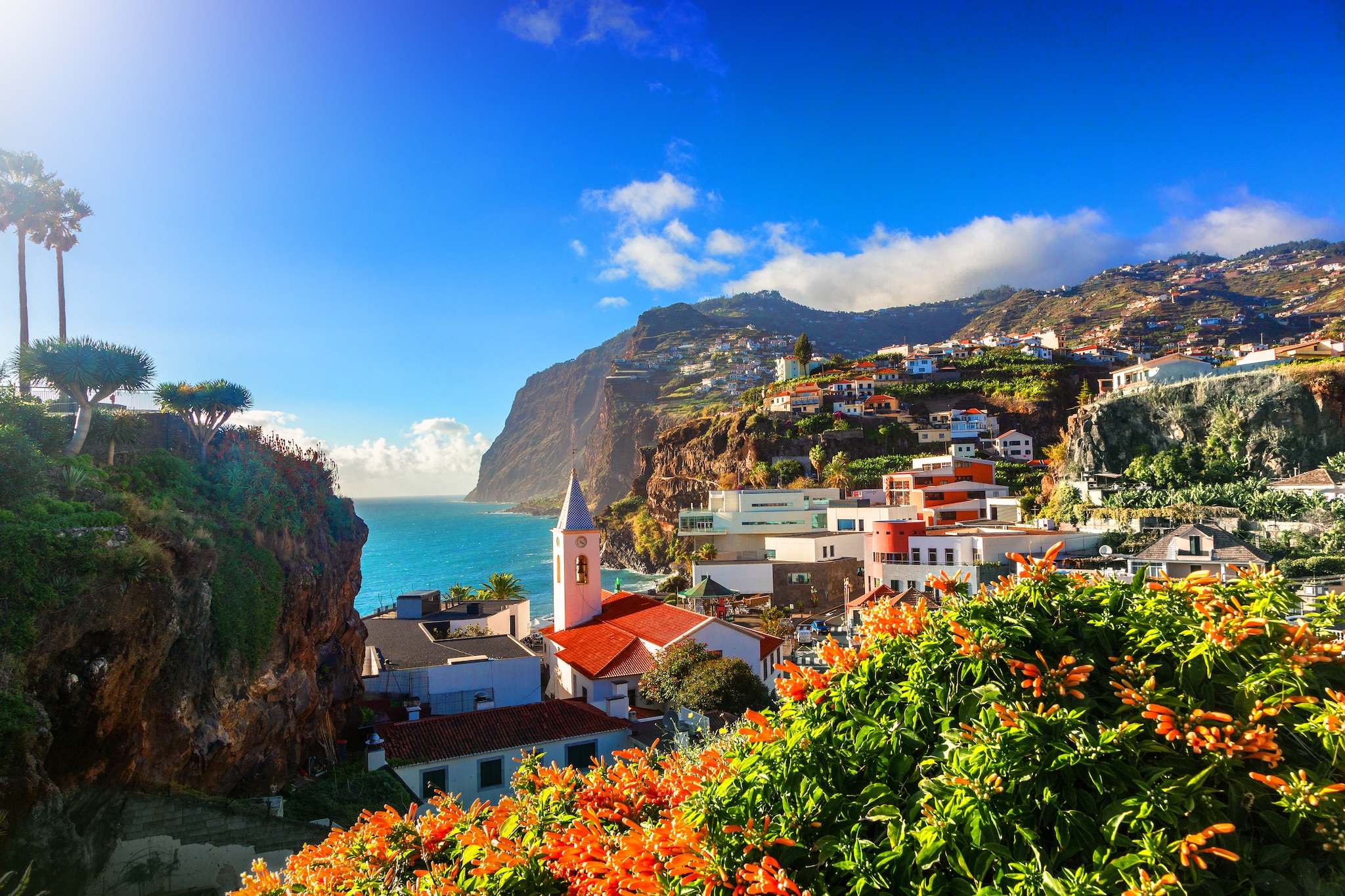 leisurely-scenes-of-madeira