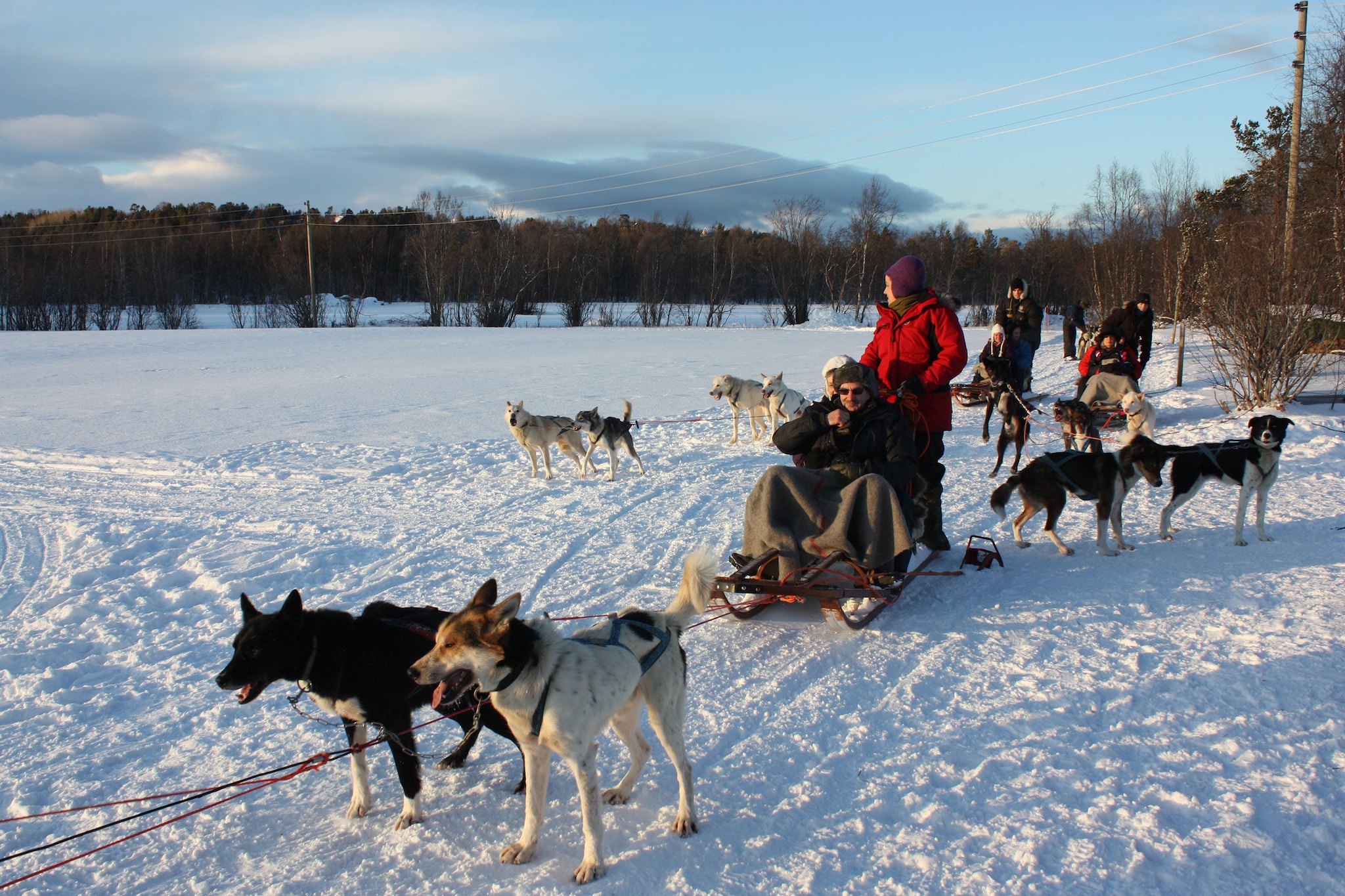 narvik-husky-adventure