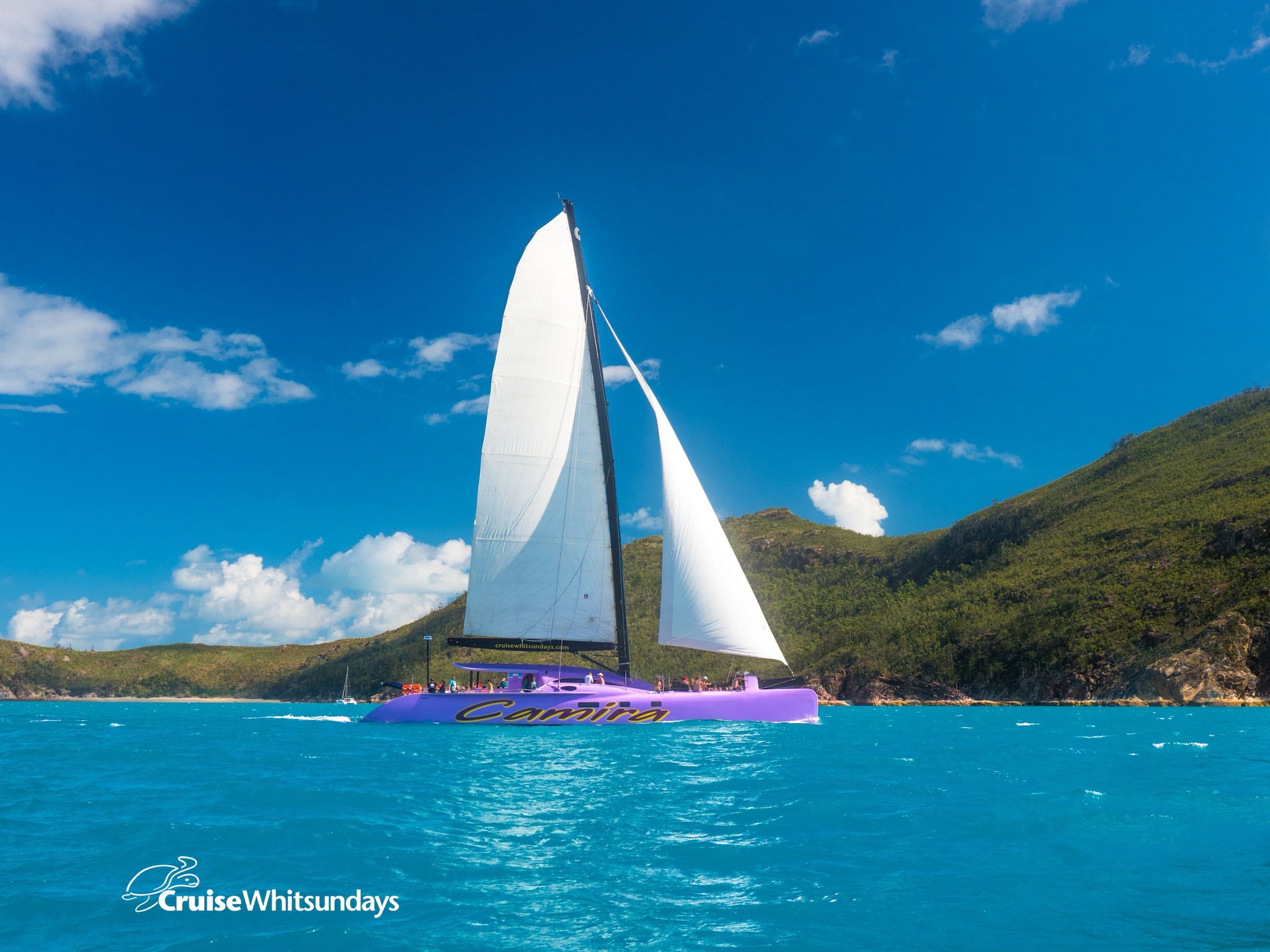 sail week catamaran