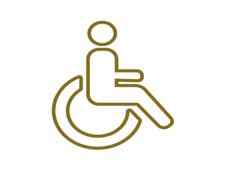 Special Requirements